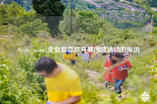 陵水企业都喜欢开展团建活动的原因